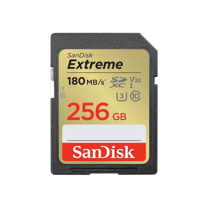 SanDisk Extreme GO SD UHS-I 256GB Hafıza Kartı