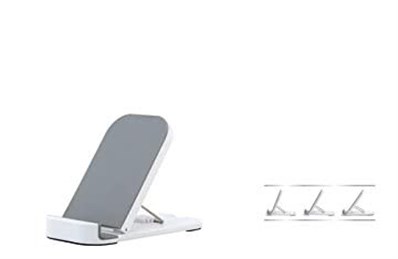 Everest IP-113 Gümüş Ipad 1& 2 Tablet Pc Stand