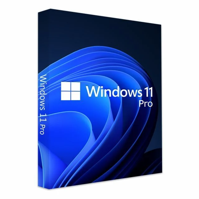 Windows 11 Pro