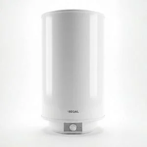 Regal WH65LW 65 lt Termosifon