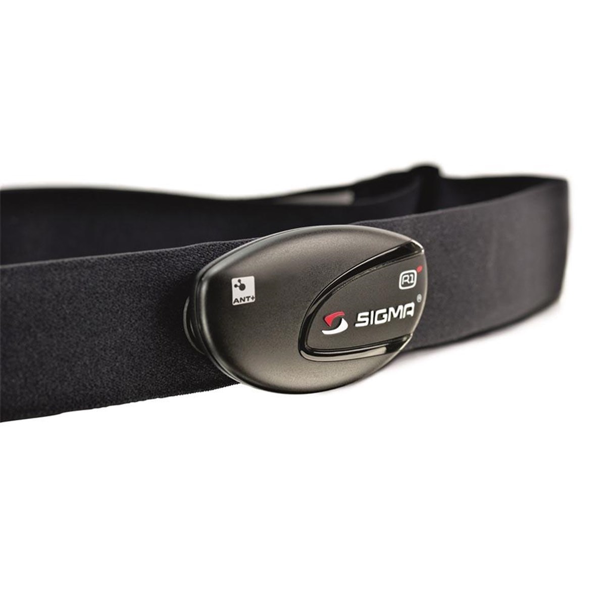 Sigma Nabız Bandı Kayısı R1 Ant