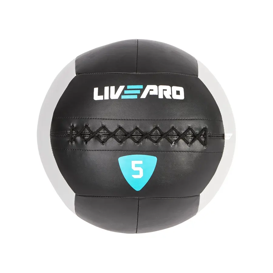 Protech Wall Ball 5 KG