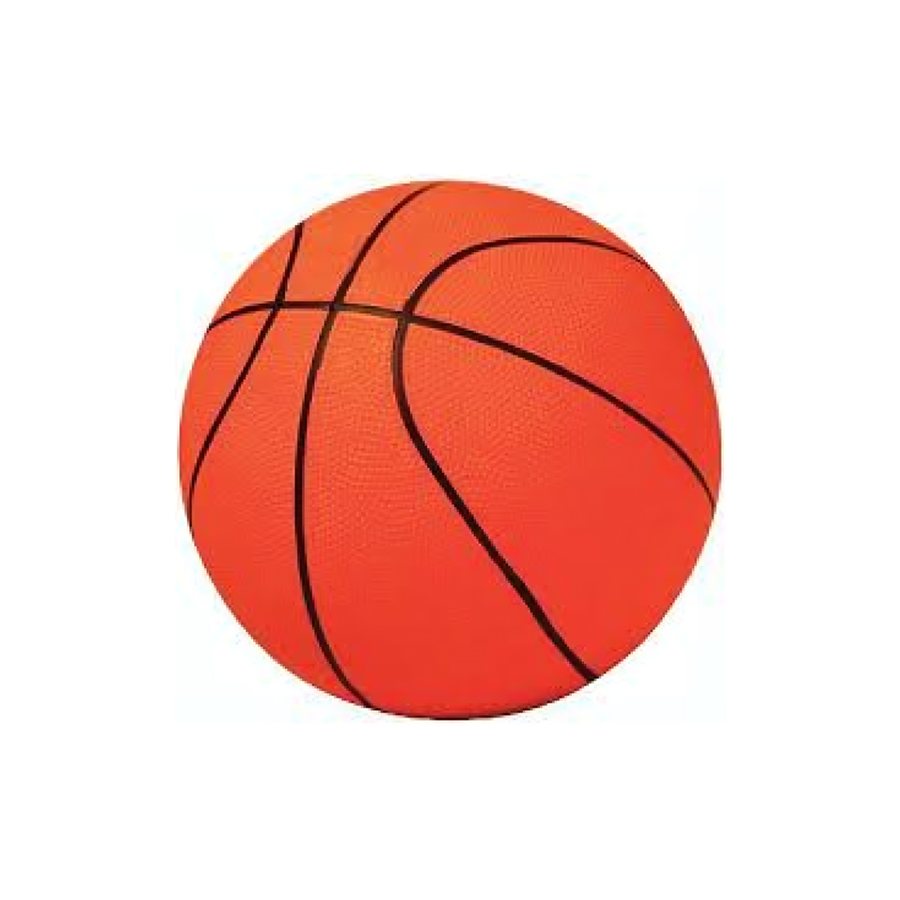 Protech Basketbol Topu