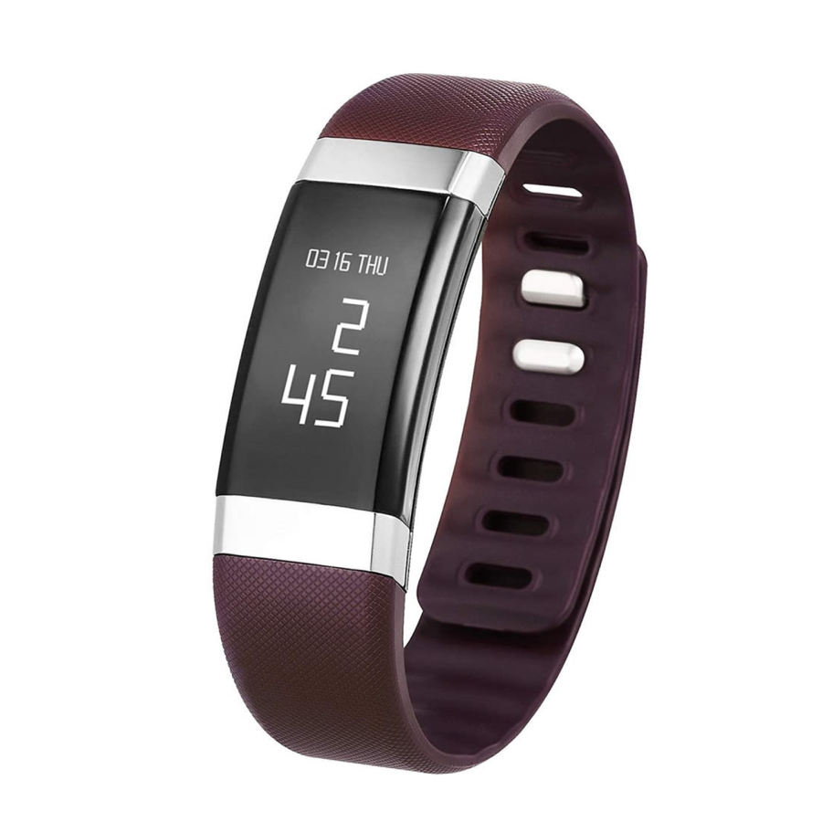 InBodyBAND2 - Bordo
