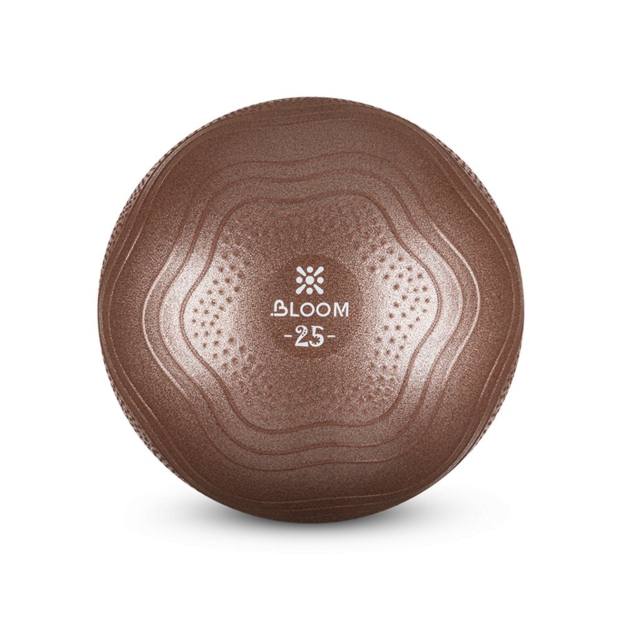 Protech 25 Cm Mini Pilates Topu - Kahverengi