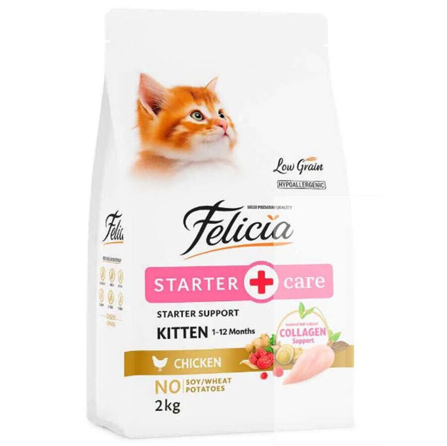 Felicia Low Grain Kitten Cat Food with Chicken 2 kg