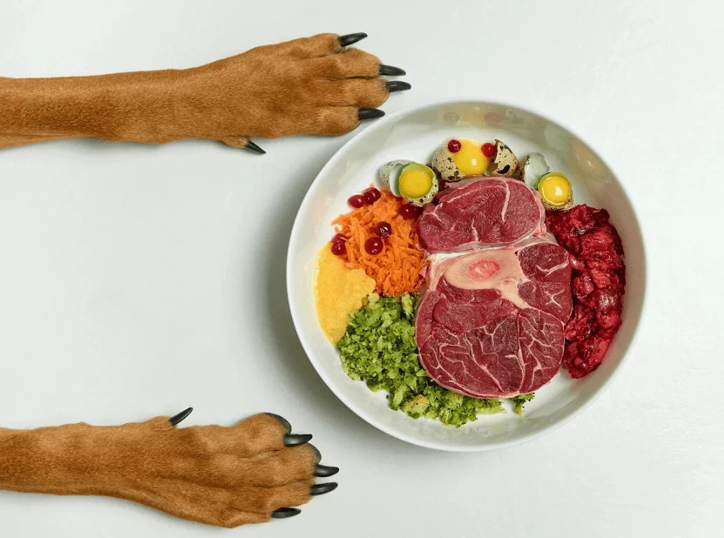 VORELPEN Beef Pet Food