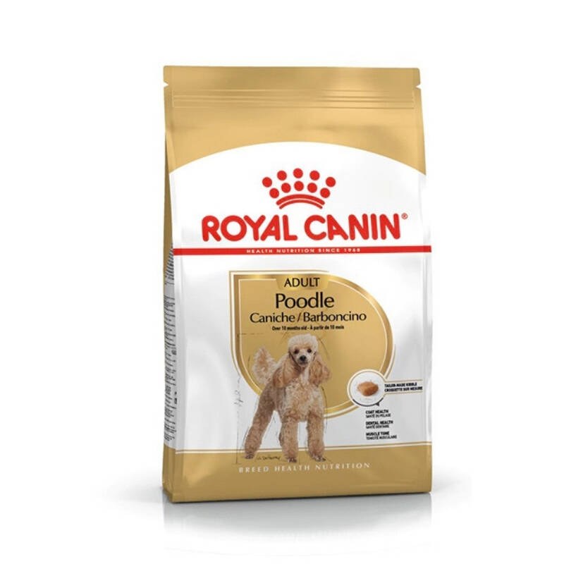 CBN Poodle Adult 3 KG Yetişkin Köpek Maması