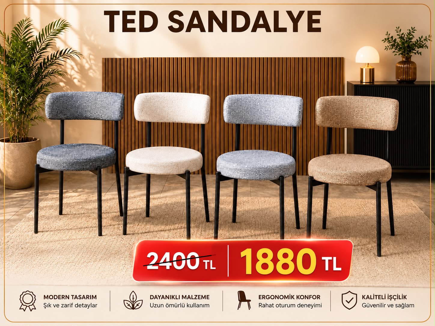 Ted Chair