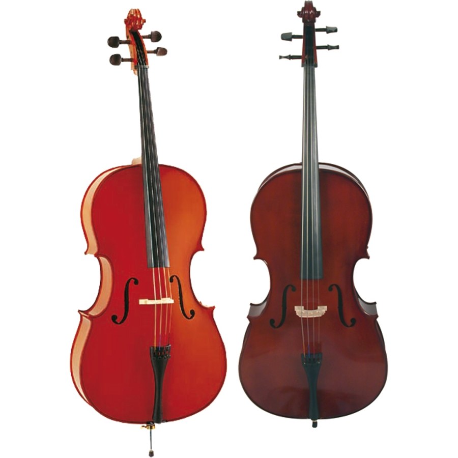 Eko Bowed EBC6012-3/4 3/4 Student Cello