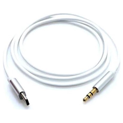 Sunix Kablo AUX-AC06 Type-C