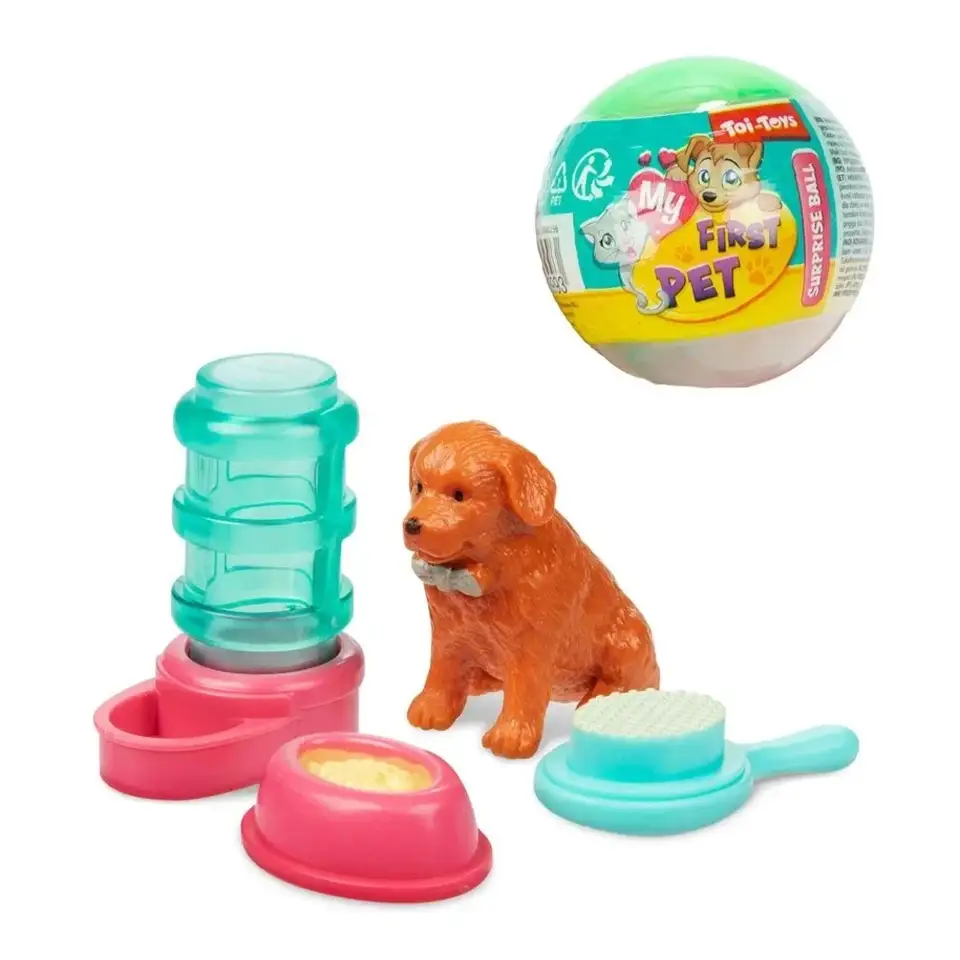 Toi-Toys İlk Evcil Hayvanım
