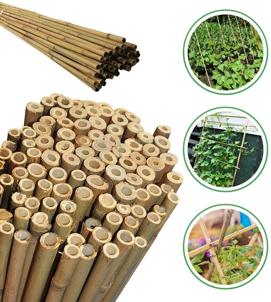 Bitki Destek Çubuğu BAMBU12-14MMx180CM
