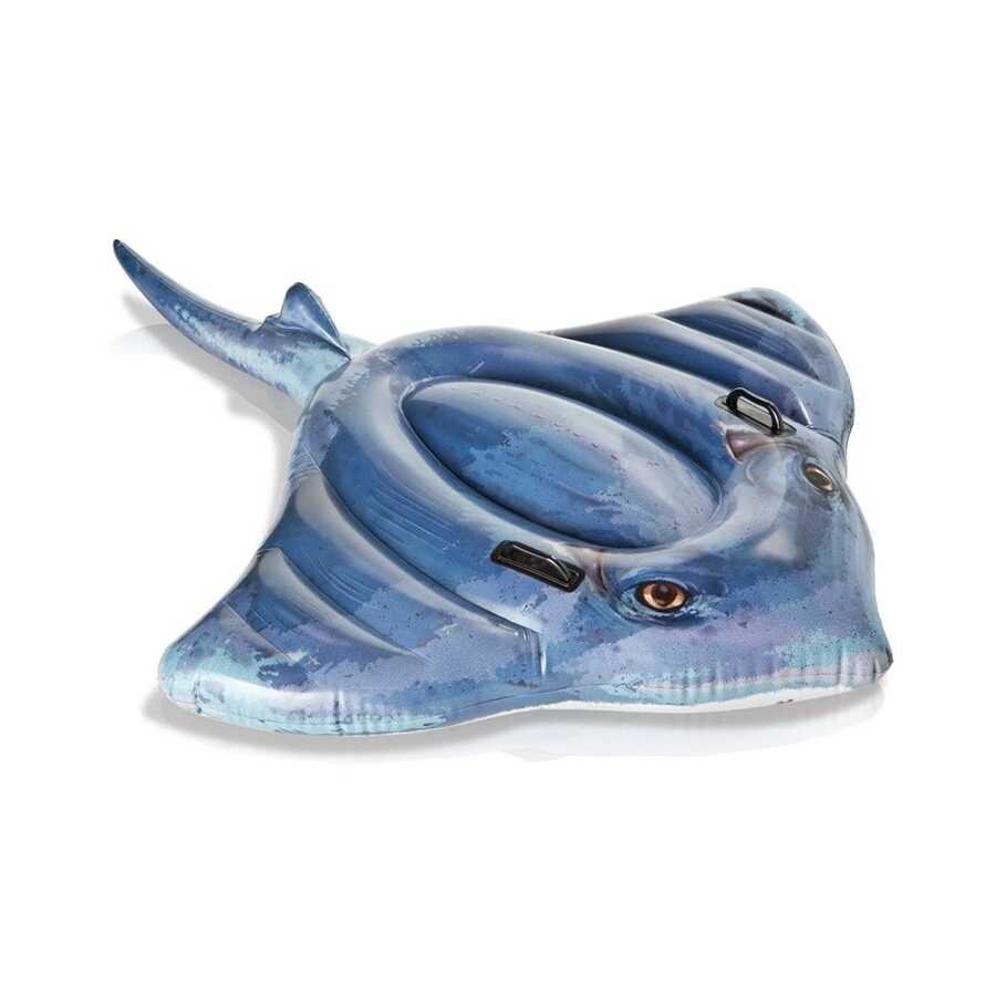 Deniz Yatağı Vatoz