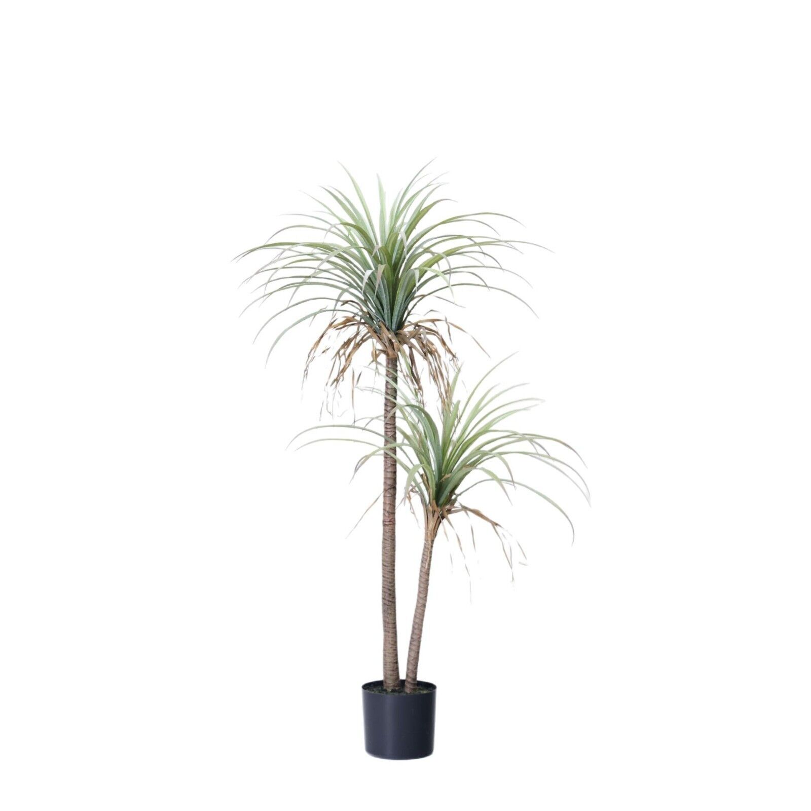 Yapay Dracaena Saksili İnce Gövdeli Çift Dalli