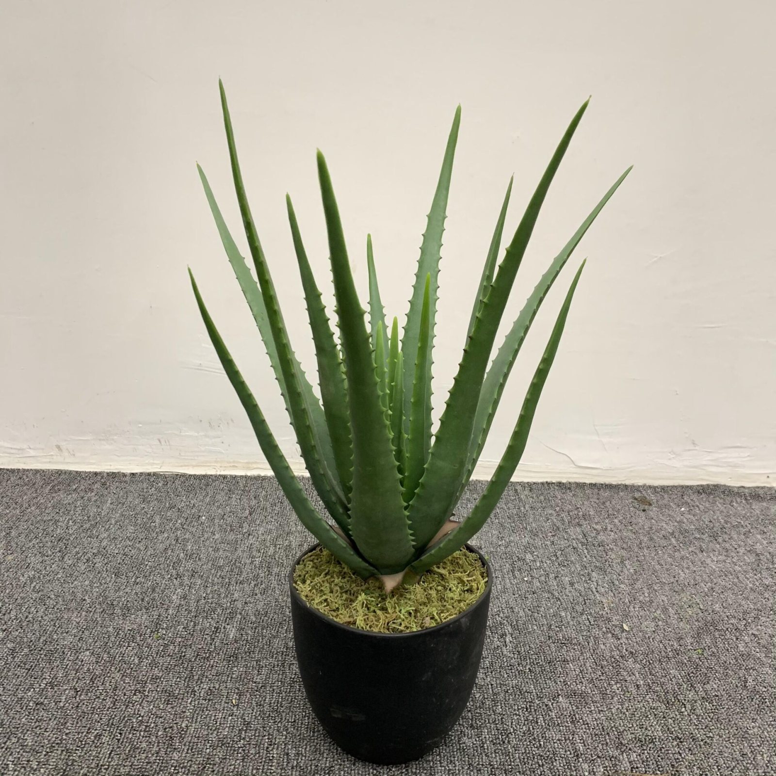 Yapay Aloe Vera Orta Boy