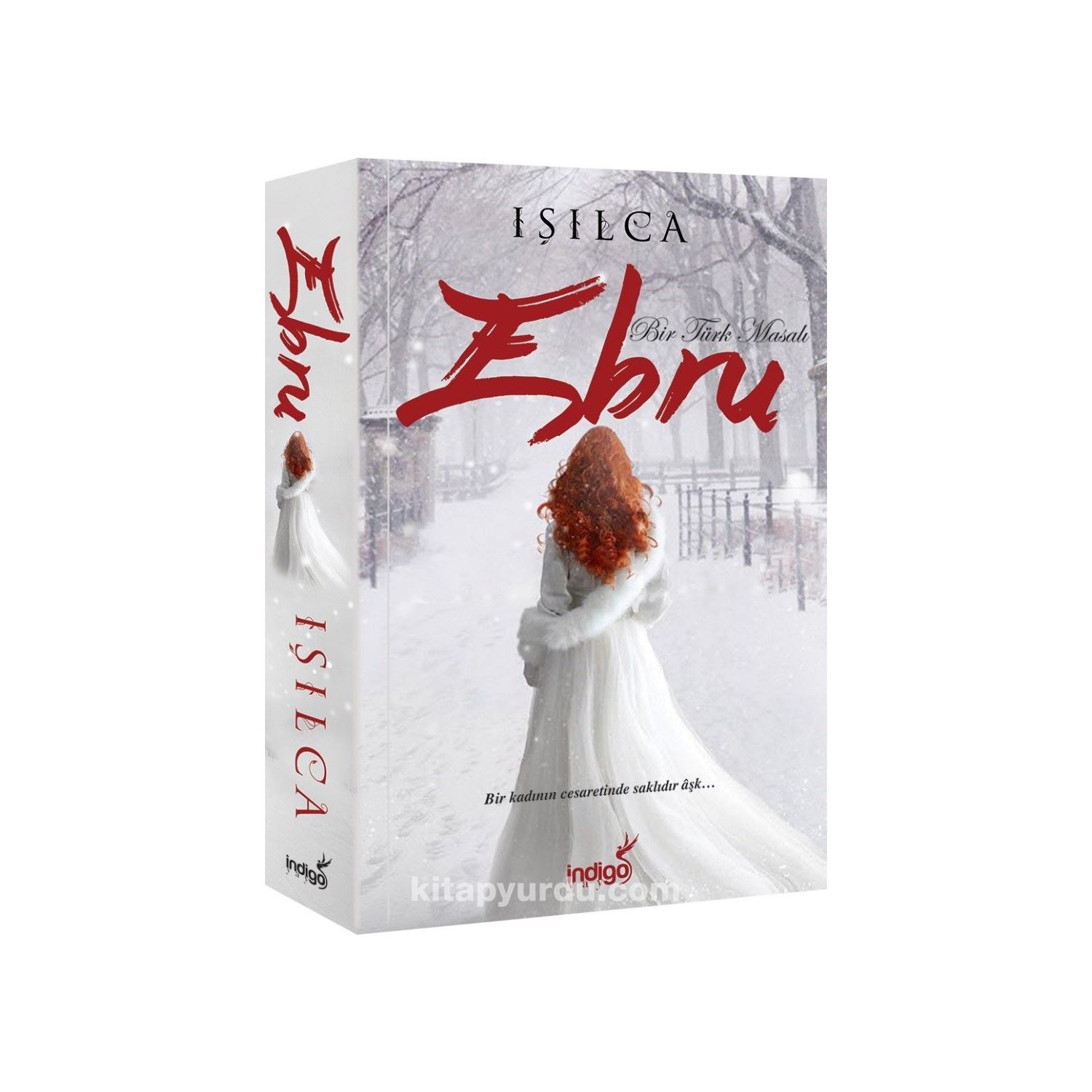 Derya Dagtım Ebru: Турецкая сказка, роман
