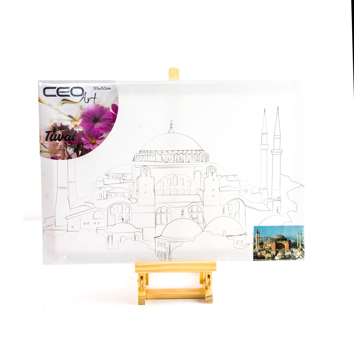 Ceo Printed Canvas Set 35x50