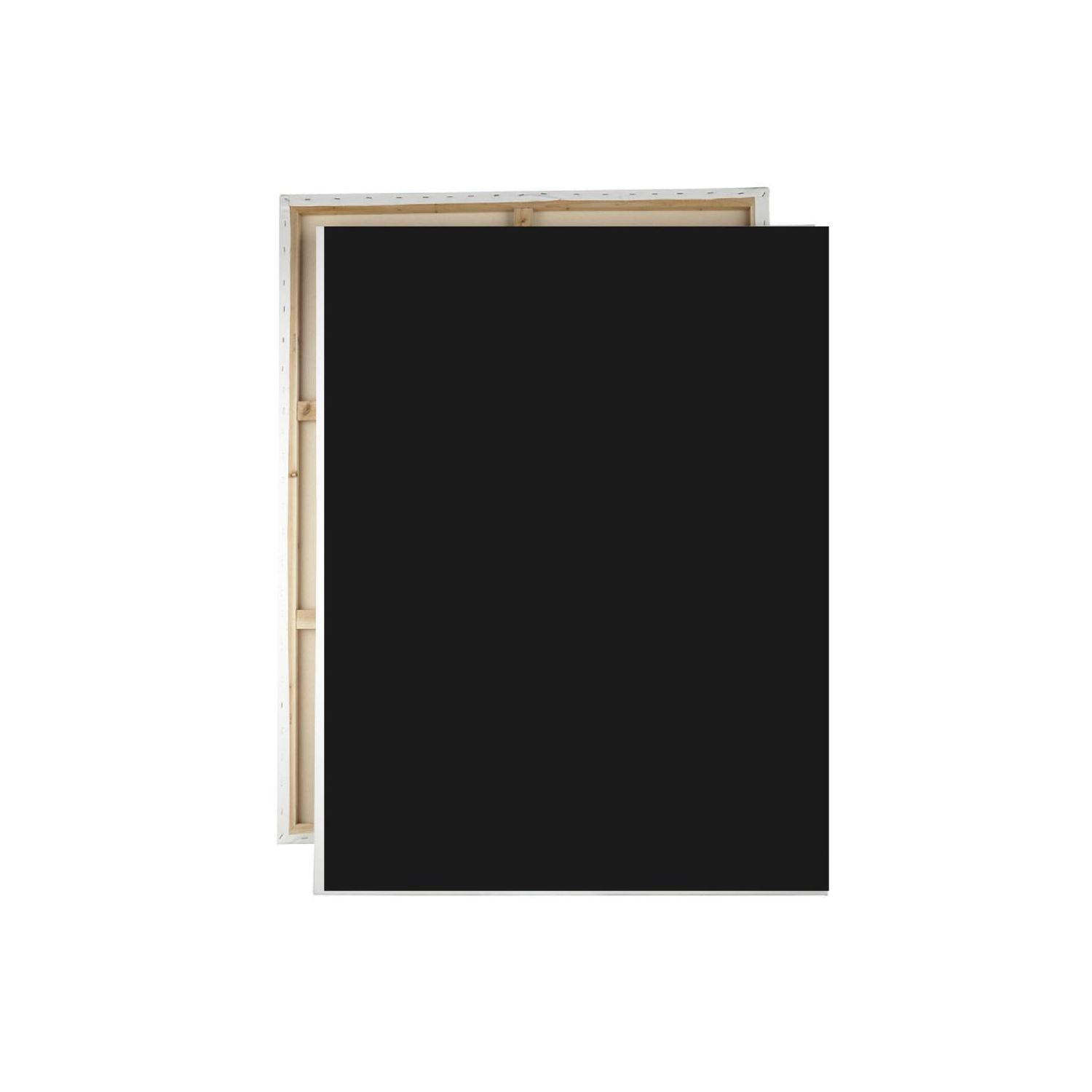 Artmate E5309C, чёрный холст 40x50