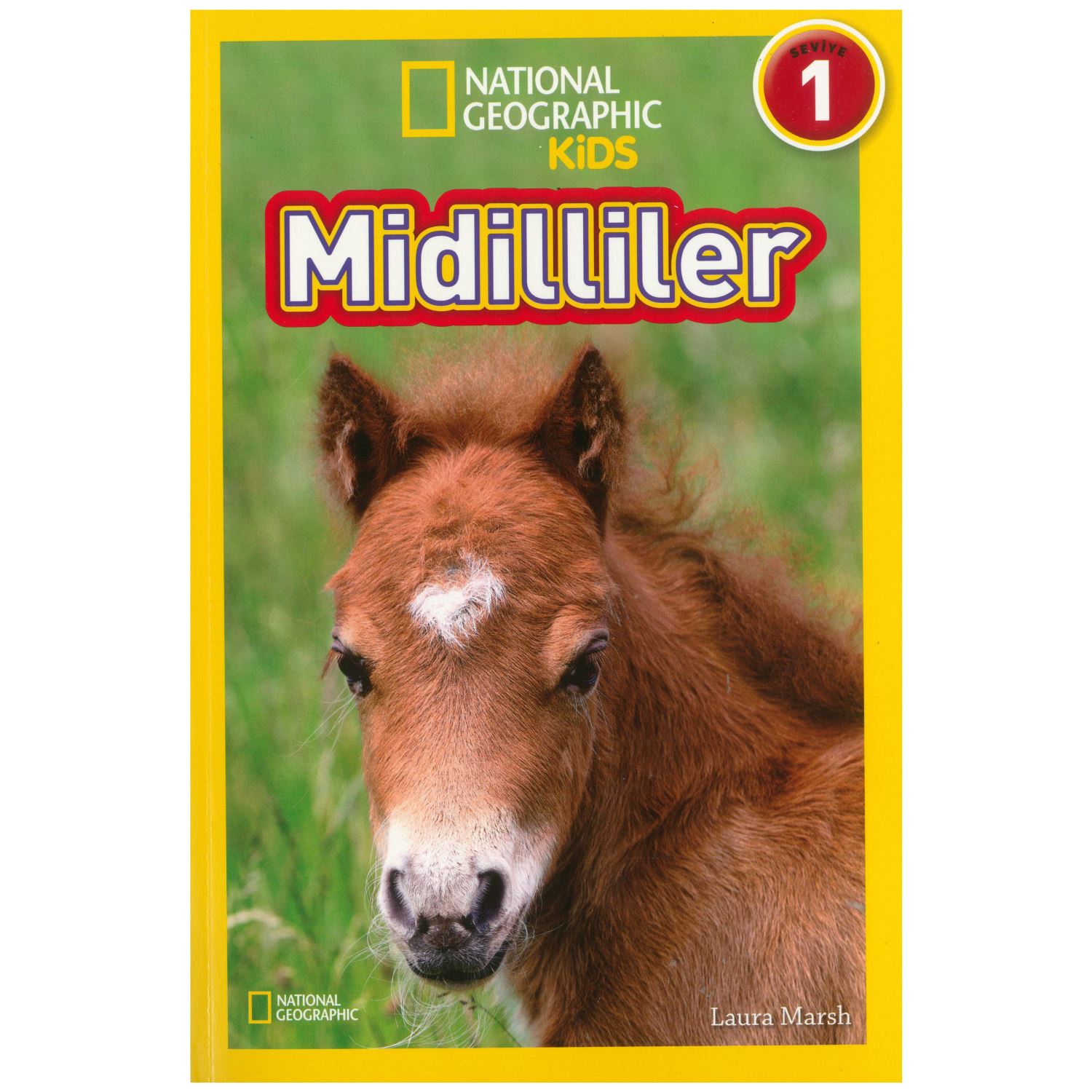 National Geographic Kids Level 1 - Ponies