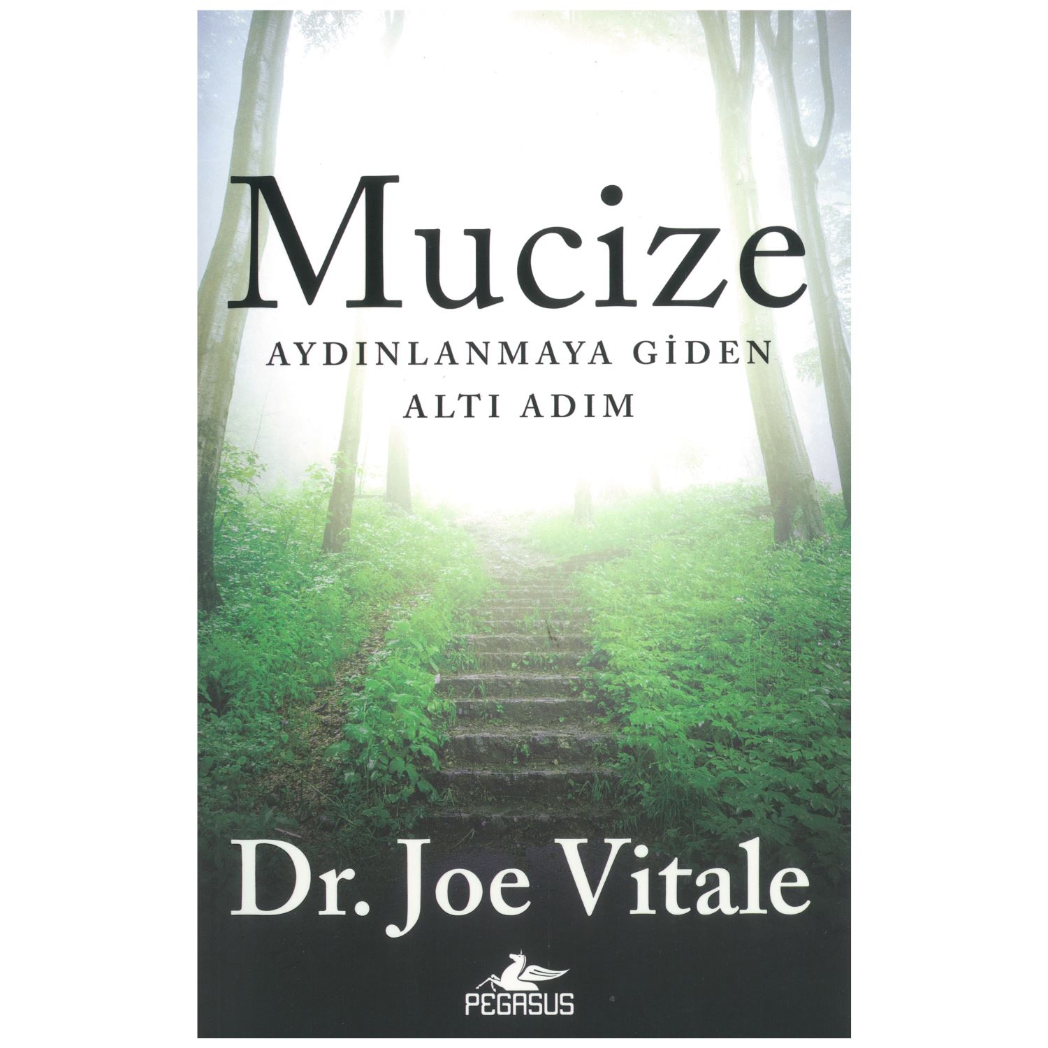 Pegasus Yayınları Mucize Personal Development Book 9786052995563