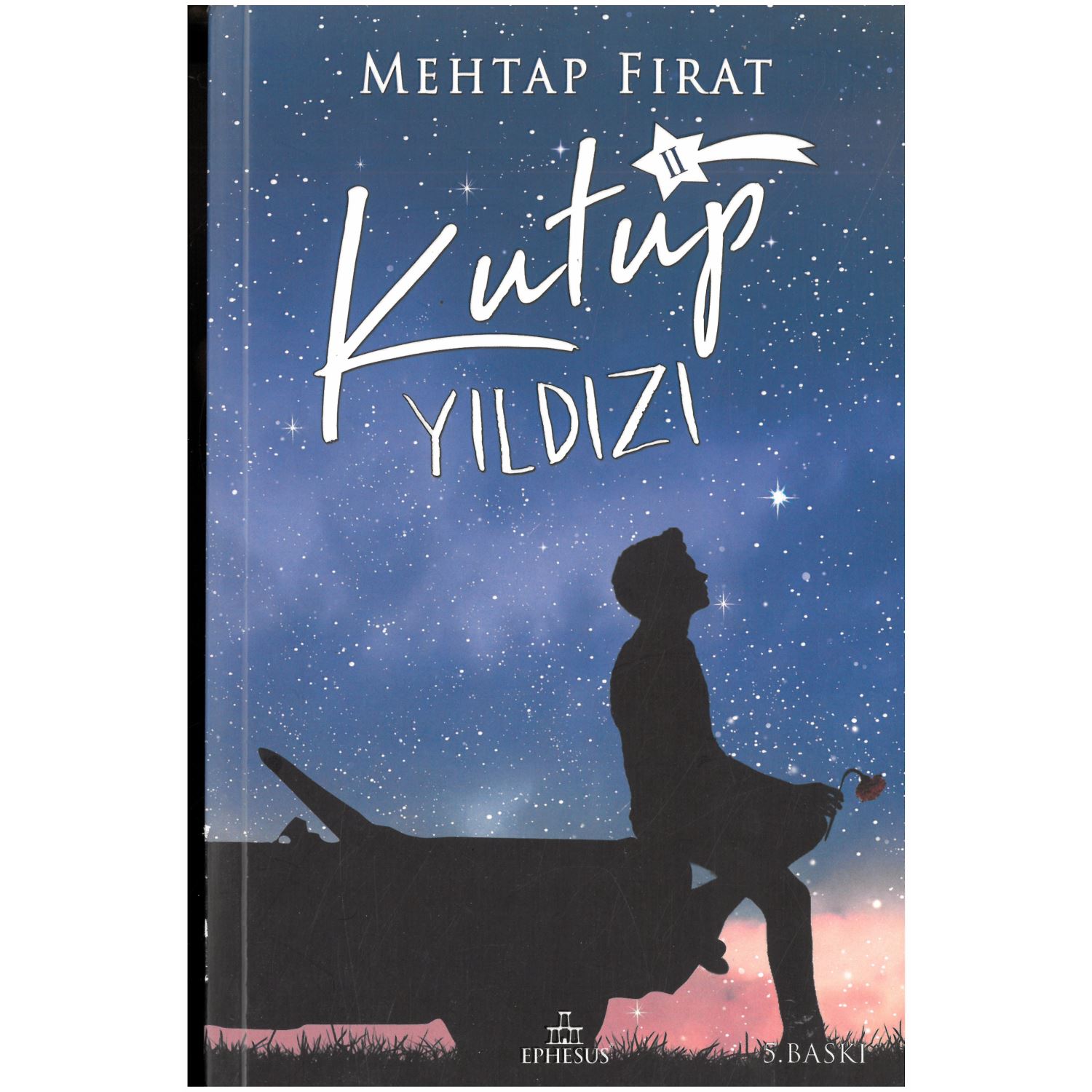 Ephesus Yayınları Kutup Yıldızı 2 Young Adult Novel, Paperback