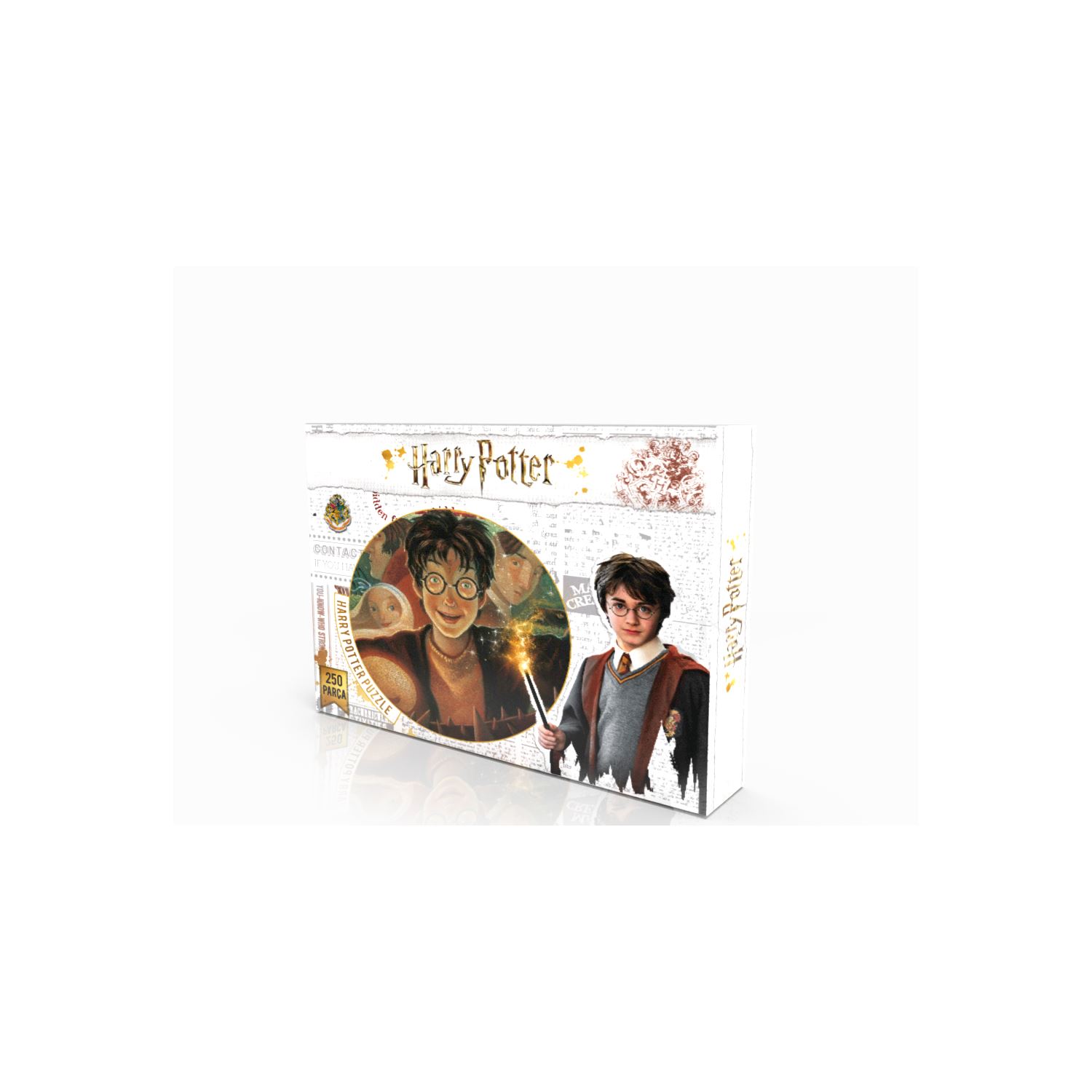 Harry Potter 250 Parça Puzzle