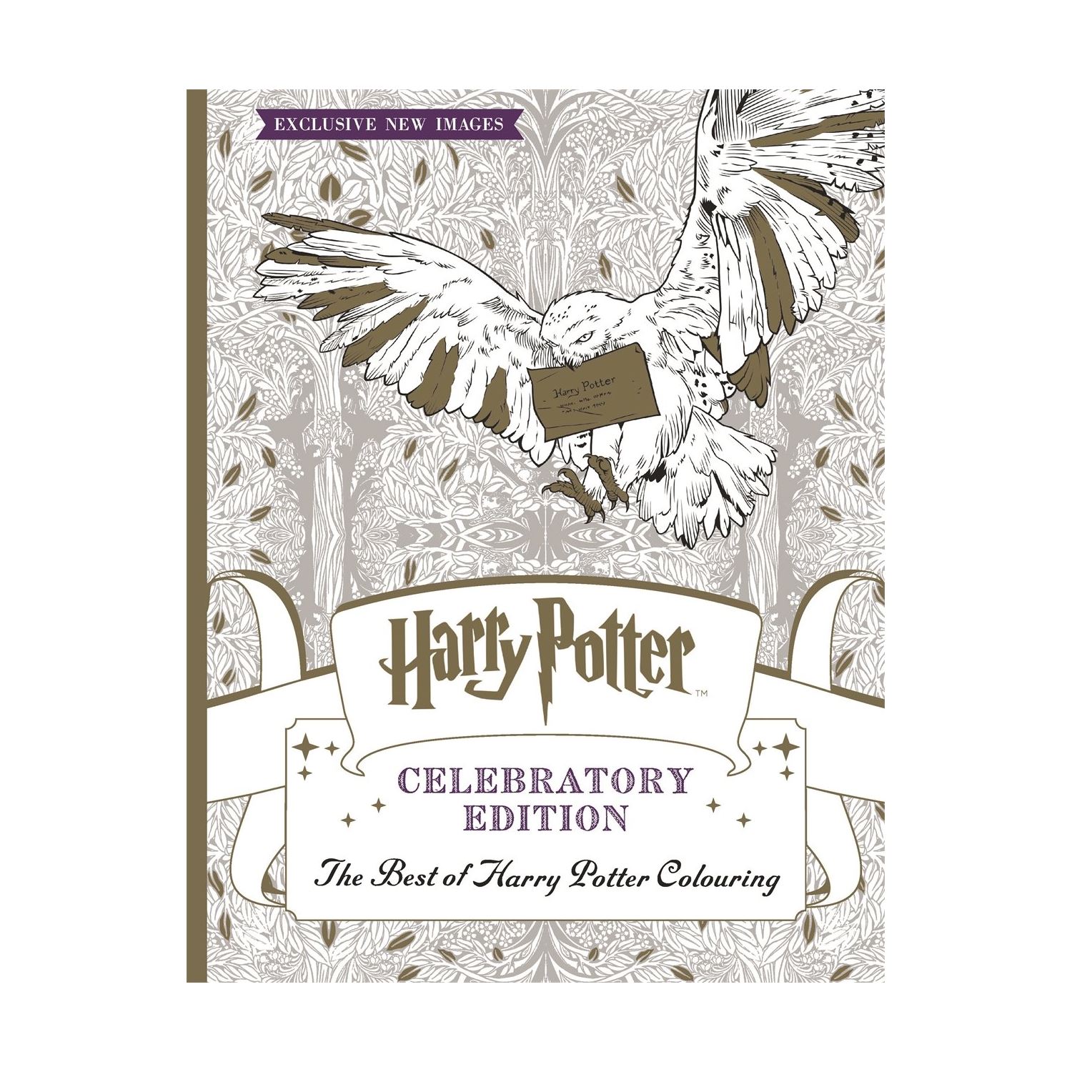 Bangzo Books Harry Potter Celebratory Edition İngilizce Boyama Kitabı Karton Kapak
