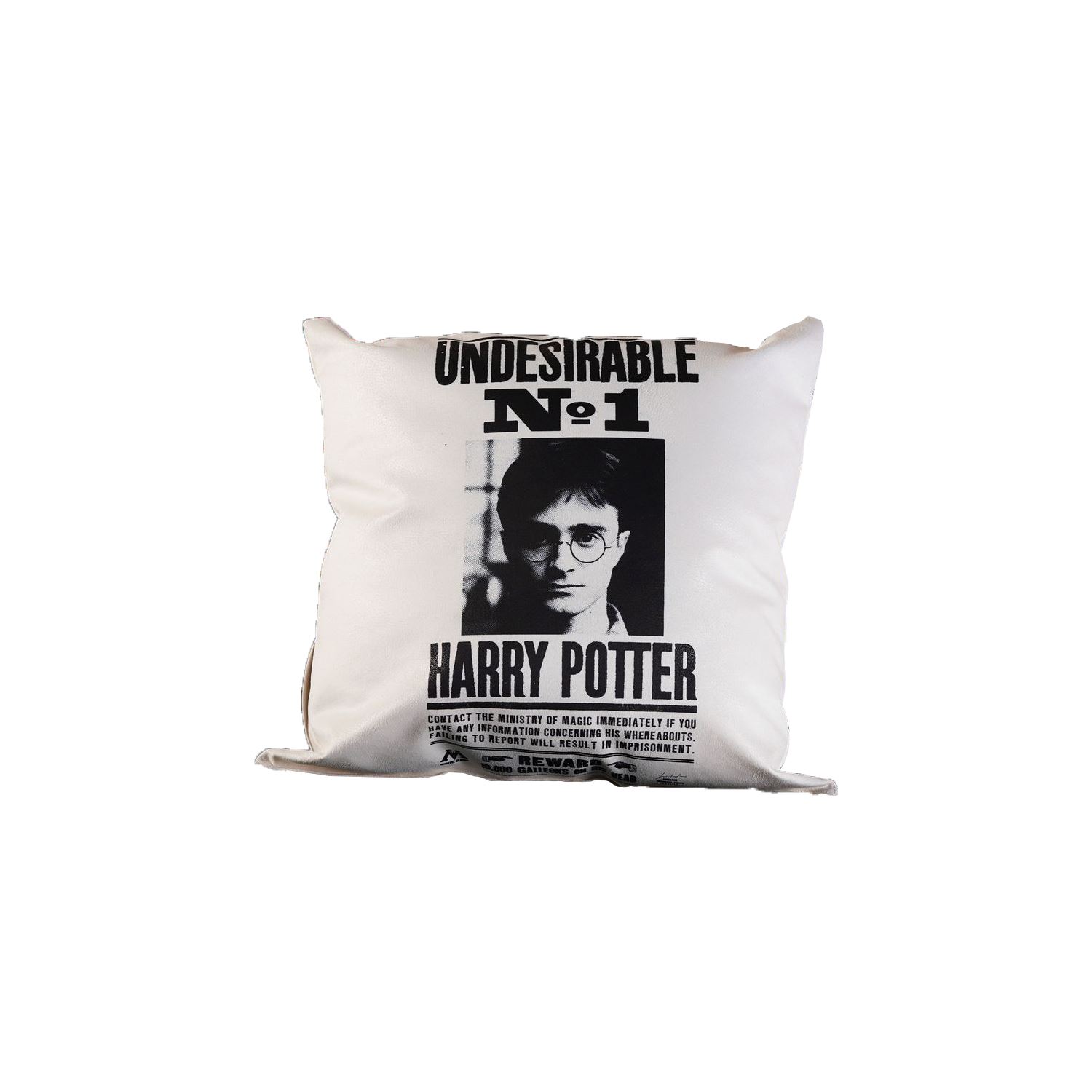 Harry Potter Yastık Undesirable No 1, Harry Potter