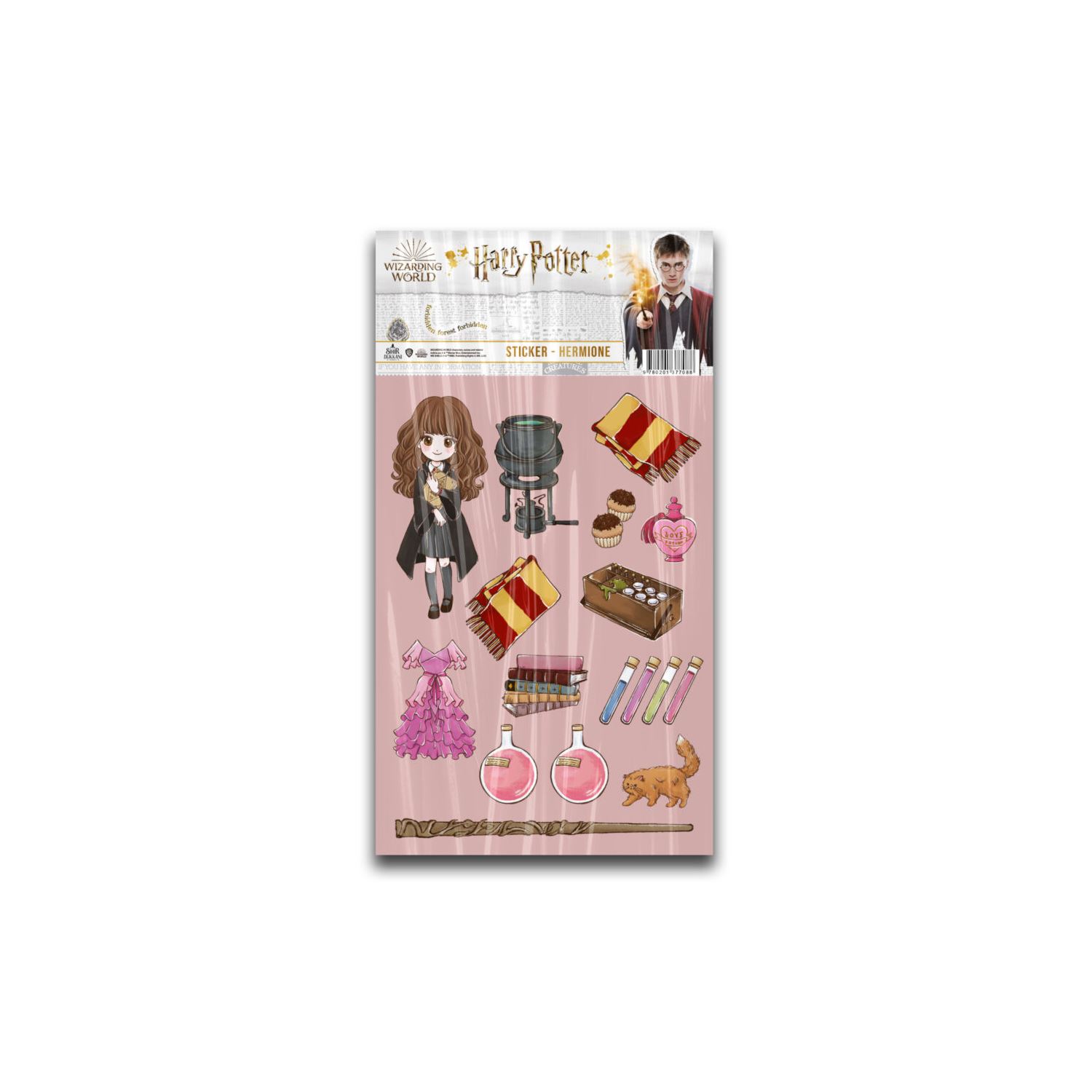 Wizarding World Harry Potter Hermione Wall Sticker ST012