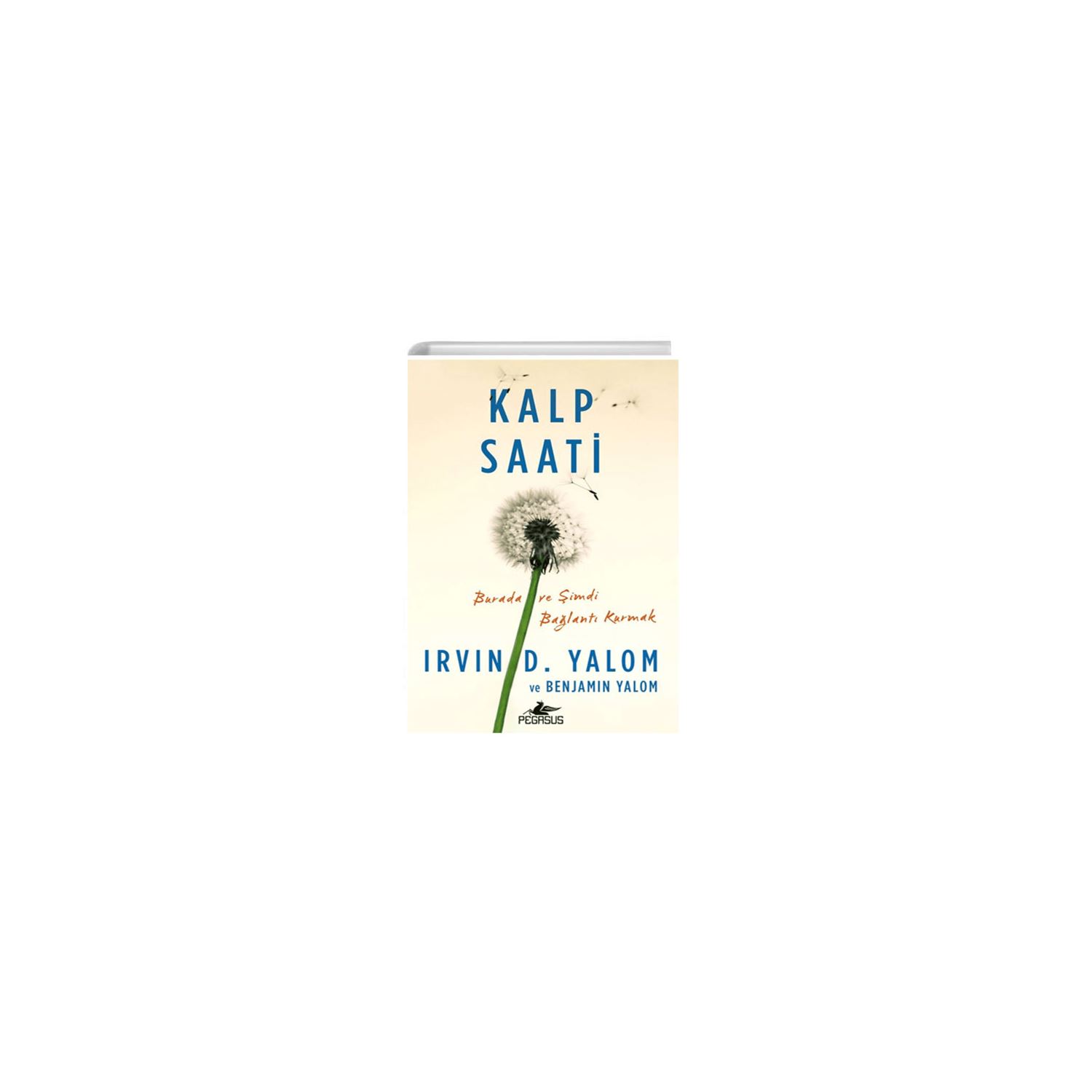 Pegasus Yayınları Kalp Saati Novel