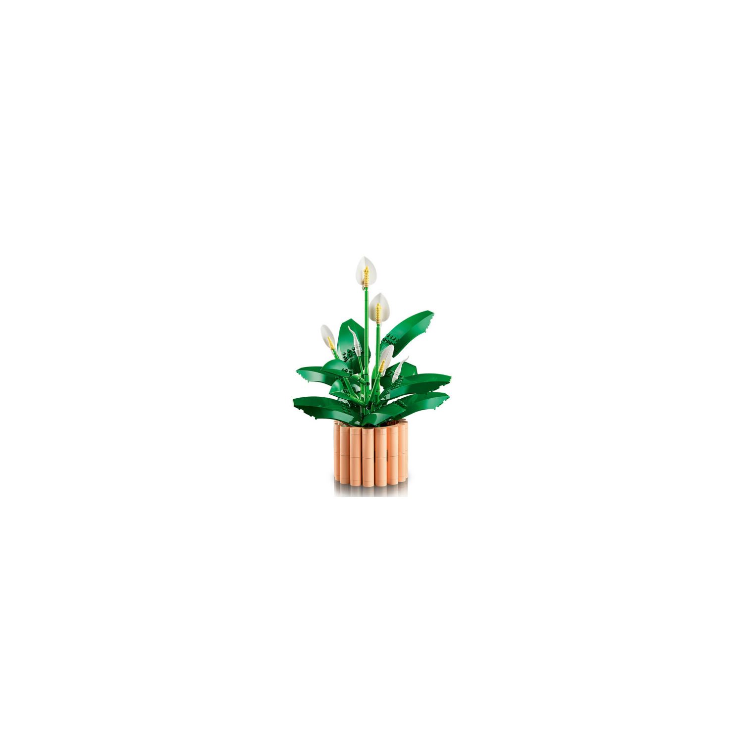 LEGO Botanicals Barış Çiçeği Yapım Seti 251-500 Parça