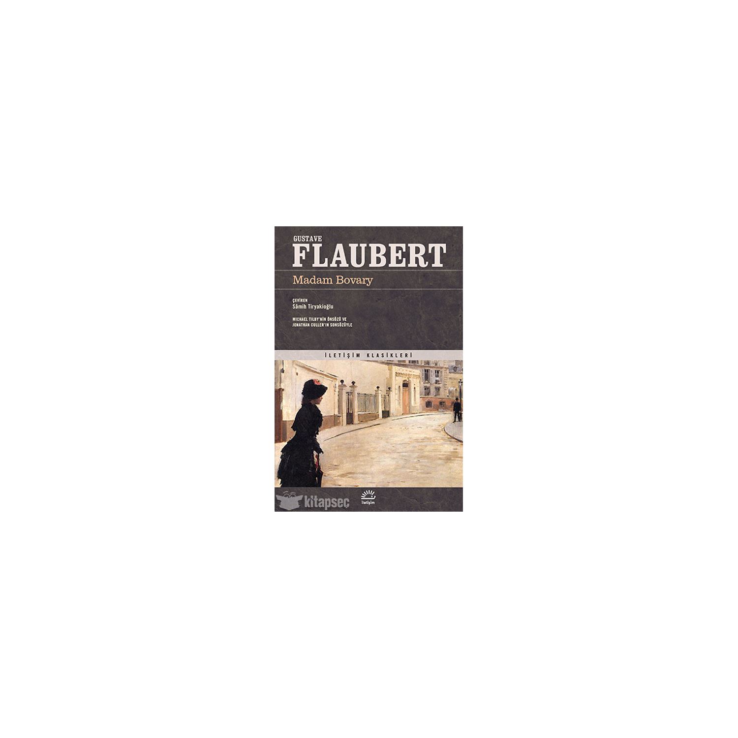Yapı Kredi Yayınları Madame Bovary Novel