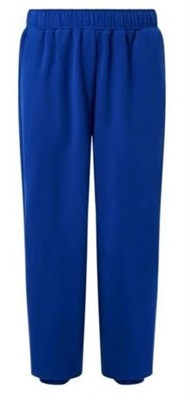 Oakley Mtl Sweatpant FOA405456 671 Blue Men's Sweatpants