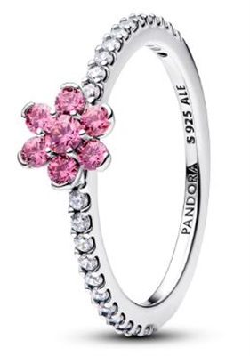 Pandora 194499C02 Silver Ring