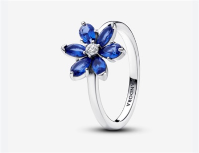 Pandora 193000C01 Silver Ring