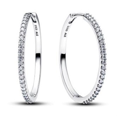Pandora 294650C01 Silver Earrings, 28 mm