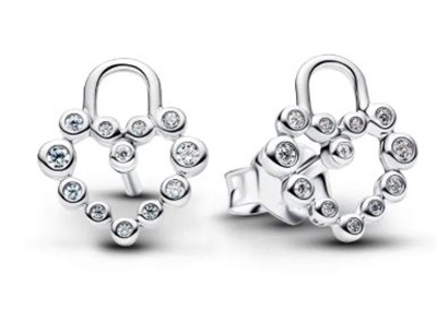 Pandora 294419C01 Silver Earrings