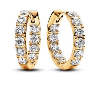 Pandora 263002C01 Gold Earrings