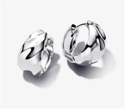 Pandora 293874C00 Silver Earrings
