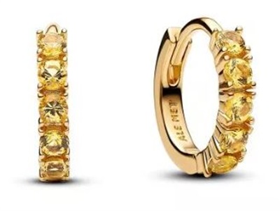 Pandora 263849C01 Küpe Altın