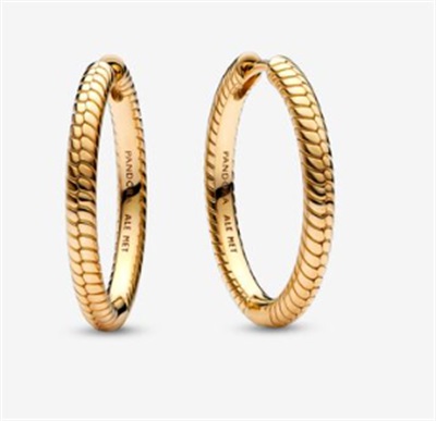 Pandora Moments Charm Hoop Earrings 269532C00 Gold