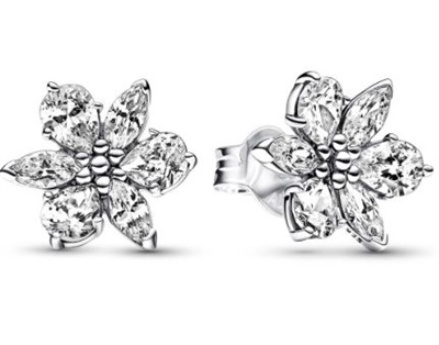 Серьги Pandora 292633C01, серебристые
