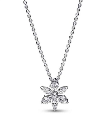 Pandora 392387C01-45 Kolye Gümüş
