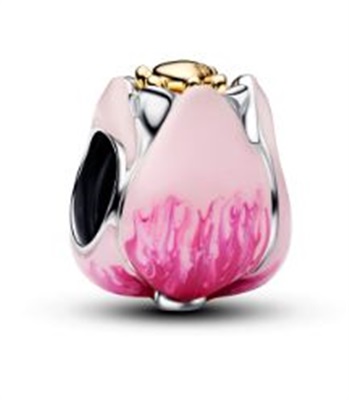Pandora 764352C01 Charm Pembe