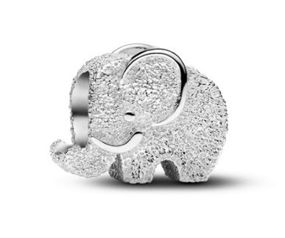 Pandora 794528C00 Silver Charm