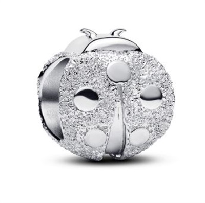 Pandora 794527C00 Charm Gümüş