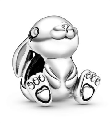 Pandora 798763C00 Charm Gümüş