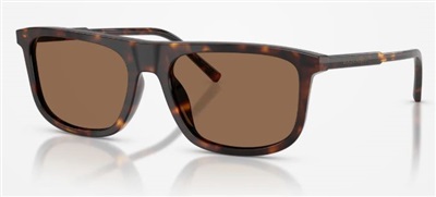 Dolce Gabbana DG4542 Güneş Gözlüğü Kahverengi 502/73 CR39 Organik 1.5