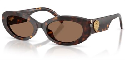 Dolce Gabbana DG4537 Güneş Gözlüğü Kahverengi 502/73 CR39 Organik 1.5